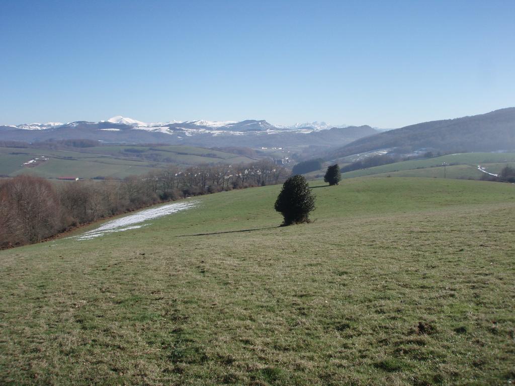 Casa Rural Irugoienea Espinal-Auzperri 외부 사진